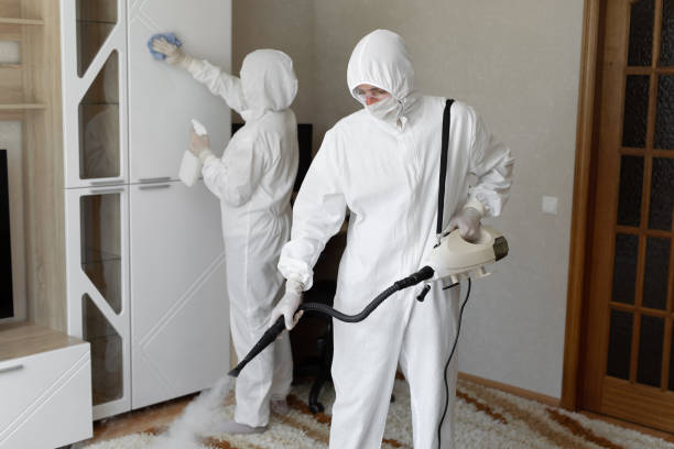 Best Industrial Mold Remediation in Johnstown, PA